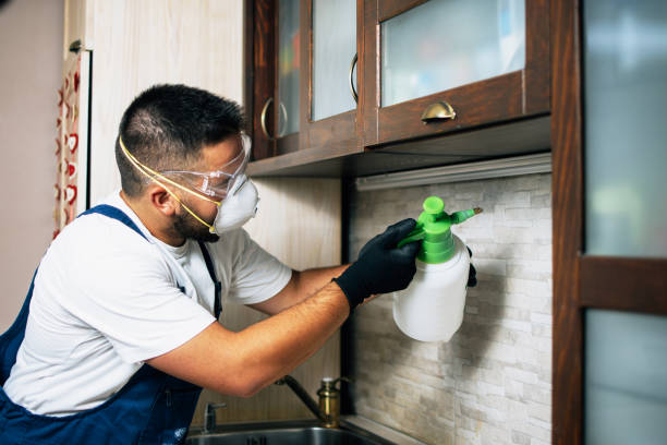 Best Cockroach Control Services  in Lake Cherokee, TX