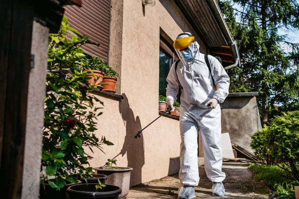 Best Residential Pest Control  in Lake Cherokee, TX
