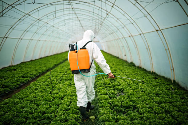 Best Best Pest Control Companies  in Lake Cherokee, TX